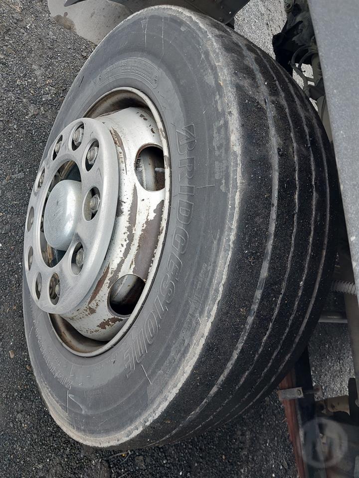 Lazy Owl Image