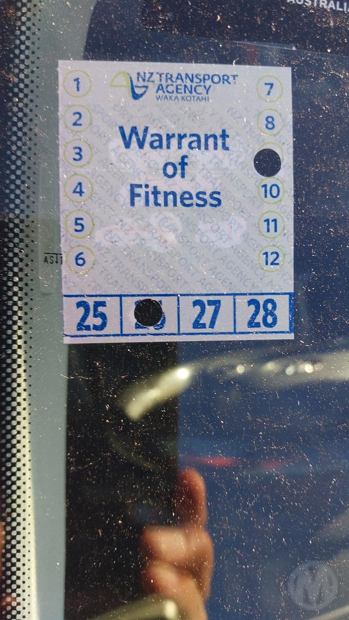 Lazy Owl Image