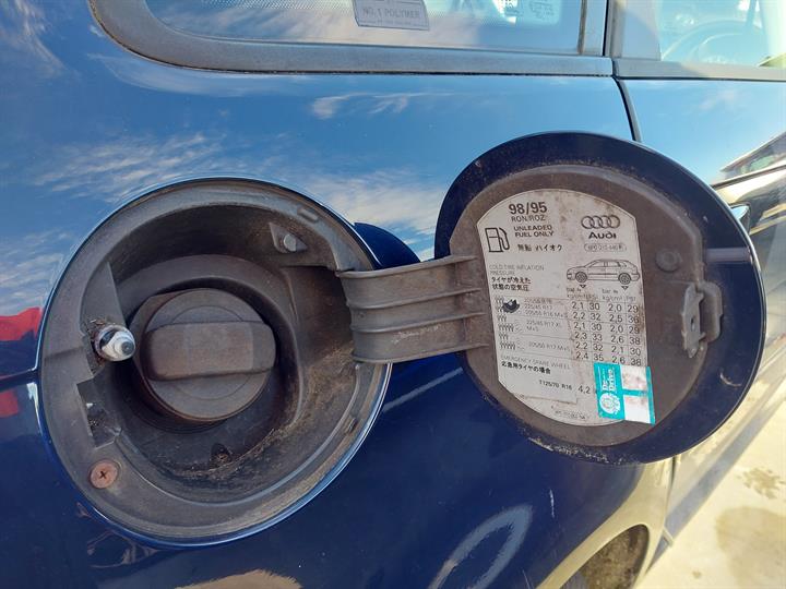 Lazy Owl Image