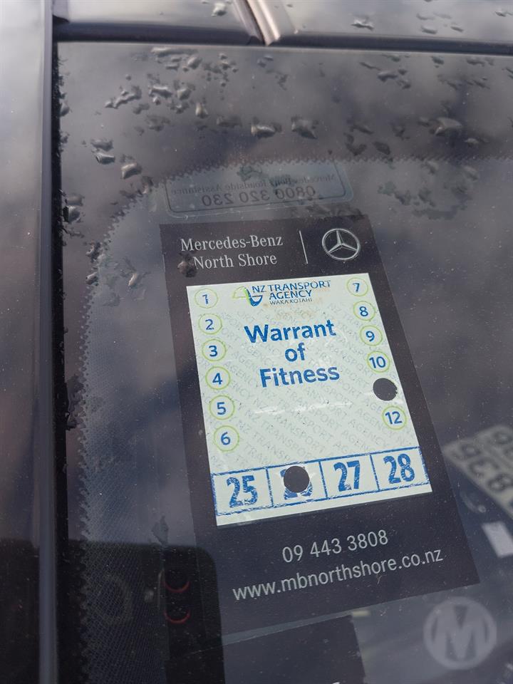Lazy Owl Image