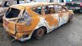 Lazy Owl Image