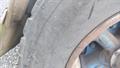 Lazy Owl Image