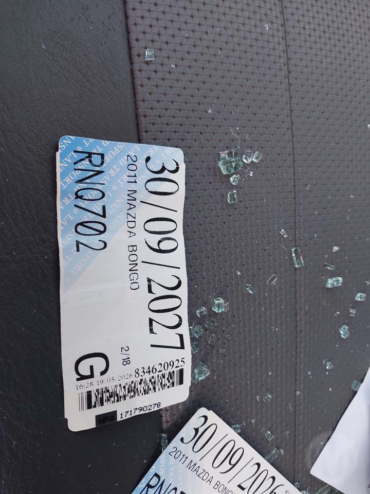 Lazy Owl Image