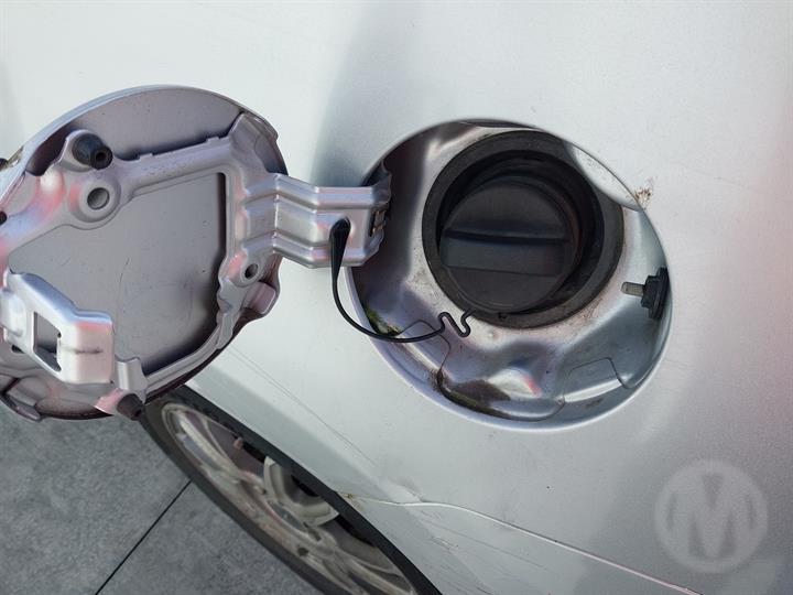Lazy Owl Image