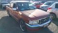 Lazy Owl Image