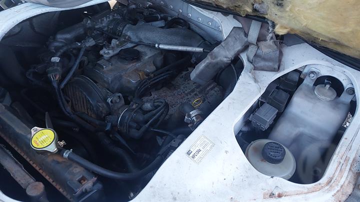 Lazy Owl Image