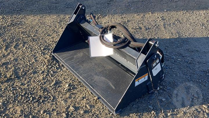 Lazy Owl Image