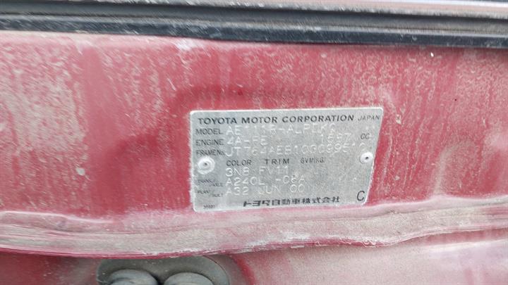 Lazy Owl Image
