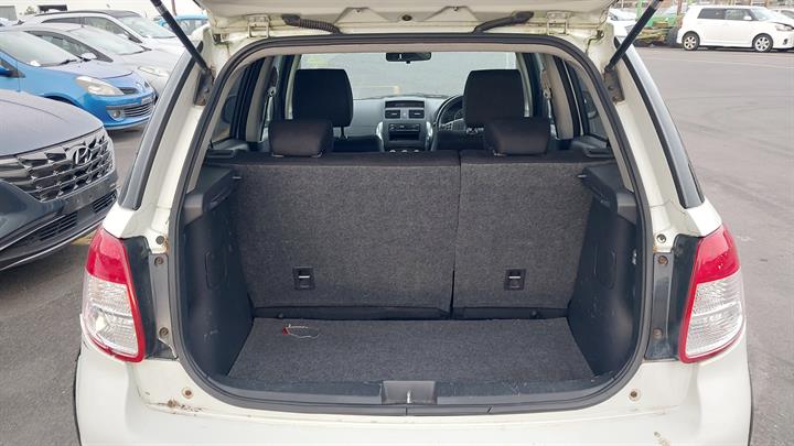 Lazy Owl Image