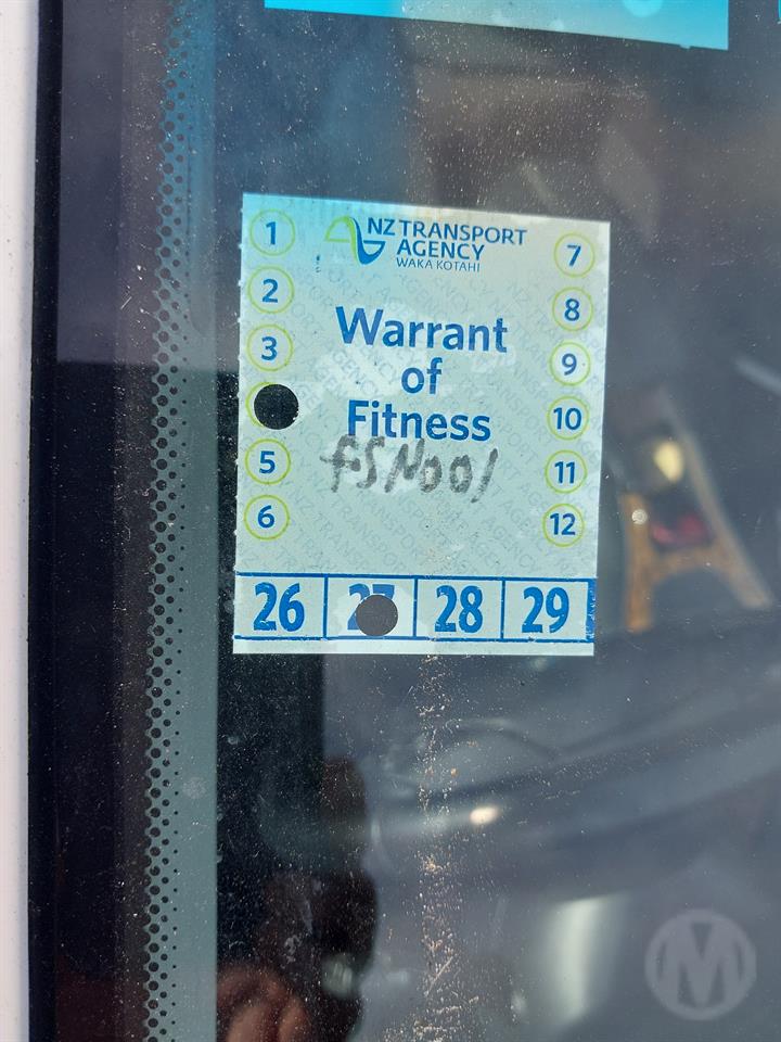 Lazy Owl Image