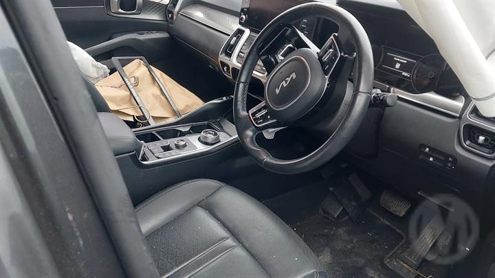 Lazy Owl Image