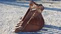 Lazy Owl Image