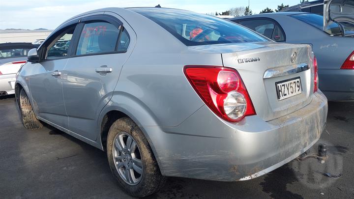Lazy Owl Image