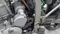Lazy Owl Image