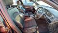 Lazy Owl Image