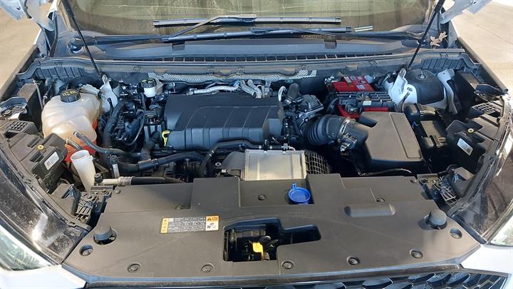 Lazy Owl Image