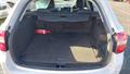 Lazy Owl Image