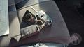 Lazy Owl Image