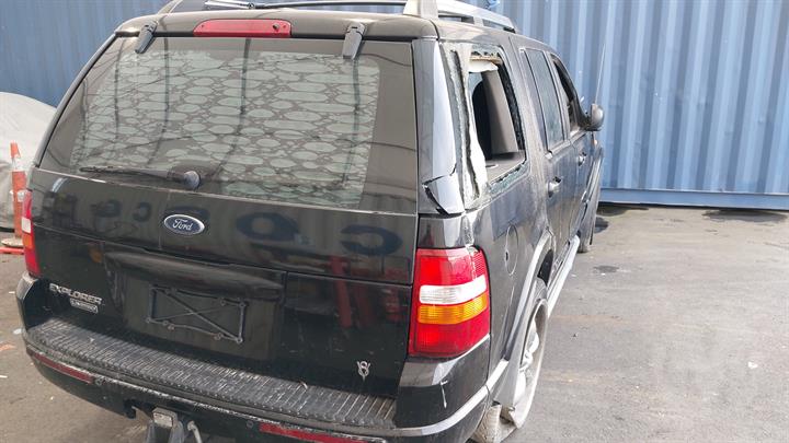 Lazy Owl Image