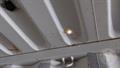 Lazy Owl Image
