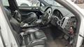 Lazy Owl Image