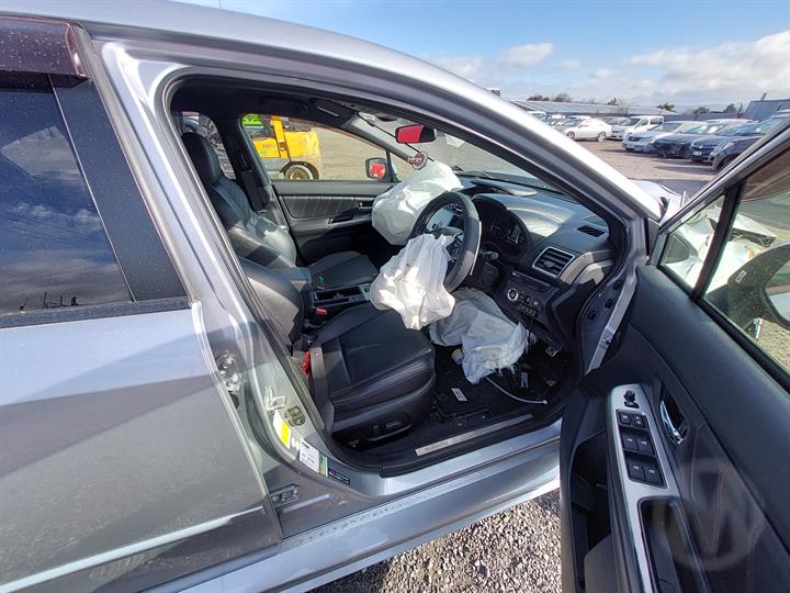 Lazy Owl Image