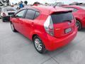 Lazy Owl Image