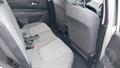 Lazy Owl Image