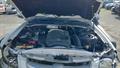 Lazy Owl Image