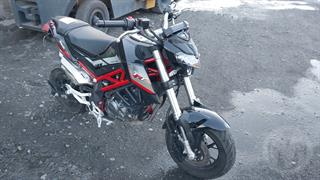 2023 Benelli TNT 125 Motorcycle Photo
