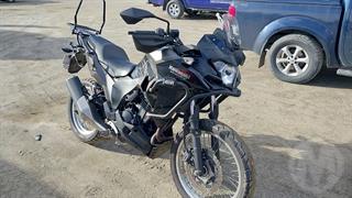 2019 Kawasaki KLE 300c Motorcycle Photo