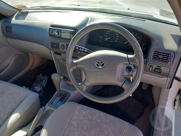Lazy Owl Image