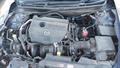 Lazy Owl Image