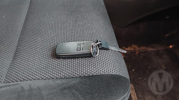 Lazy Owl Image