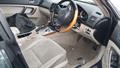 Lazy Owl Image