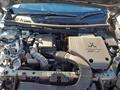 Lazy Owl Image