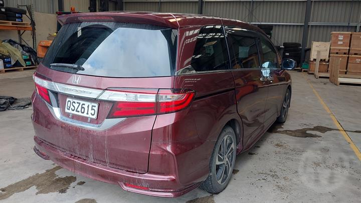 Lazy Owl Image