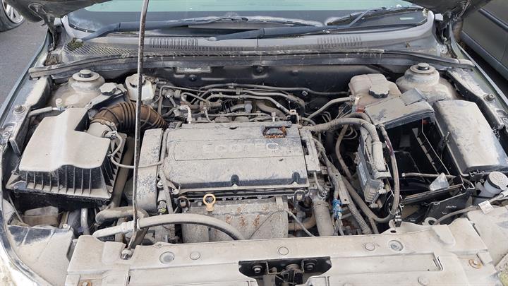 Lazy Owl Image
