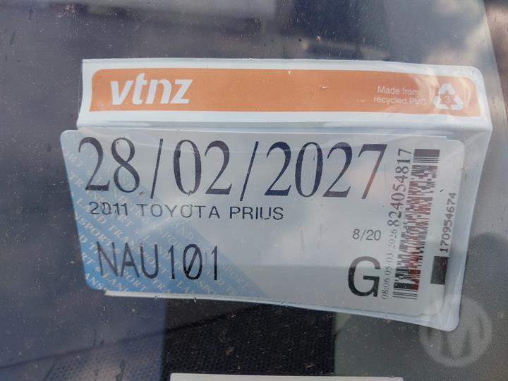 Lazy Owl Image