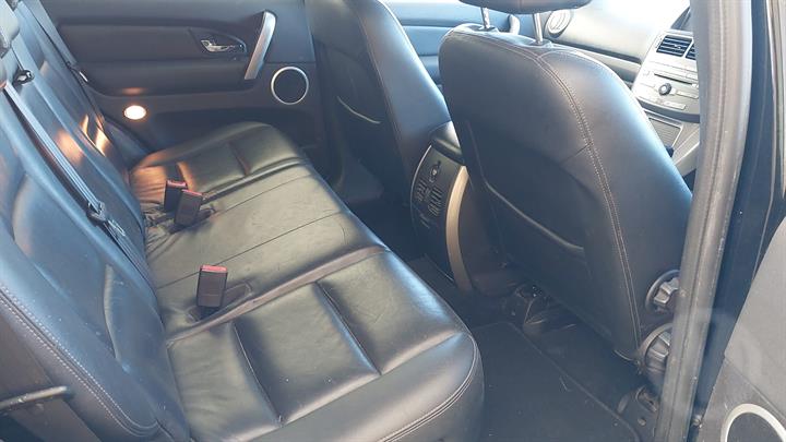 Lazy Owl Image