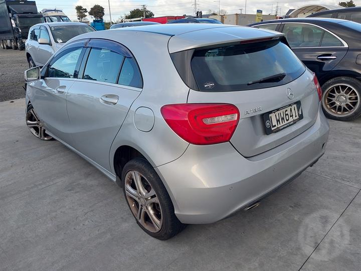 Lazy Owl Image