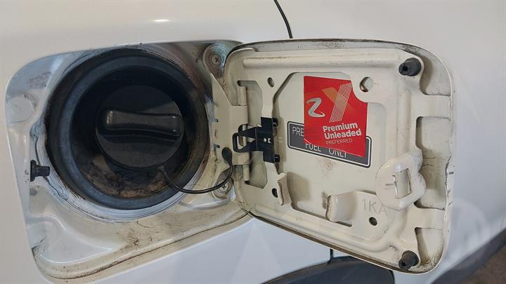 Lazy Owl Image