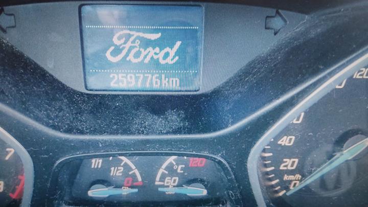 Lazy Owl Image
