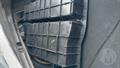 Lazy Owl Image