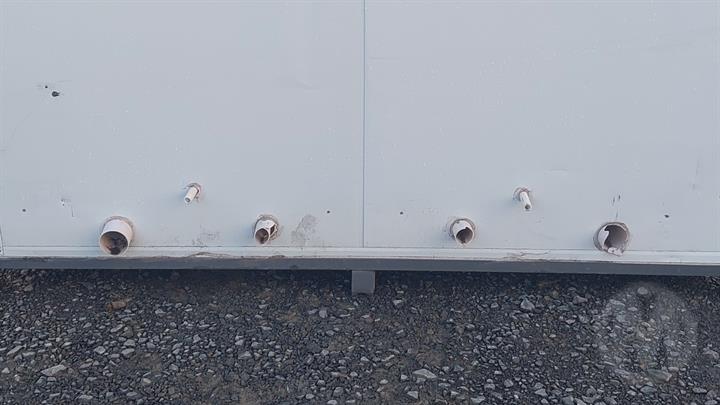 Lazy Owl Image