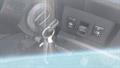 Lazy Owl Image