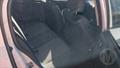 Lazy Owl Image