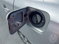 Lazy Owl Image