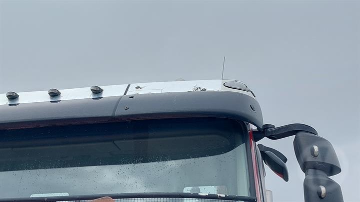Lazy Owl Image