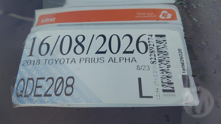 Lazy Owl Image